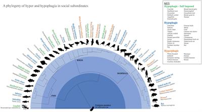 Stress, Subordination, and Anomalies of Feeding Across the Tree of Life: Implications for Interpreting Human Eating Disorders